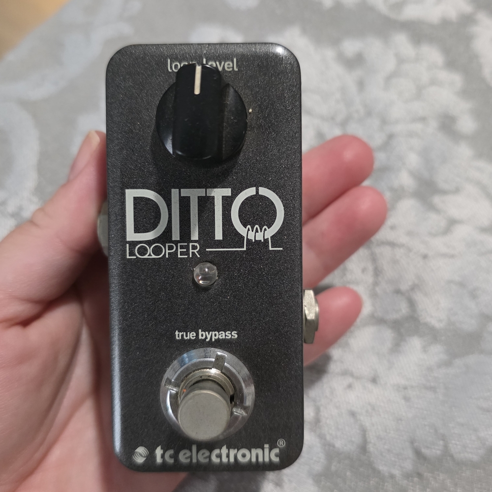 Black Ditto Looper Pedal